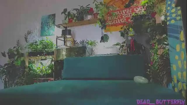 Image 10 of dead___butterfly Stream on Chaturbate on 1 month ago