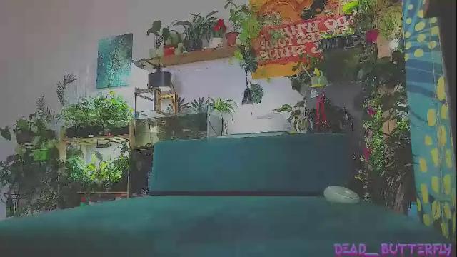 Thumbnail 3, dead___butterfly's Stream at Chaturbate, 1 month ago