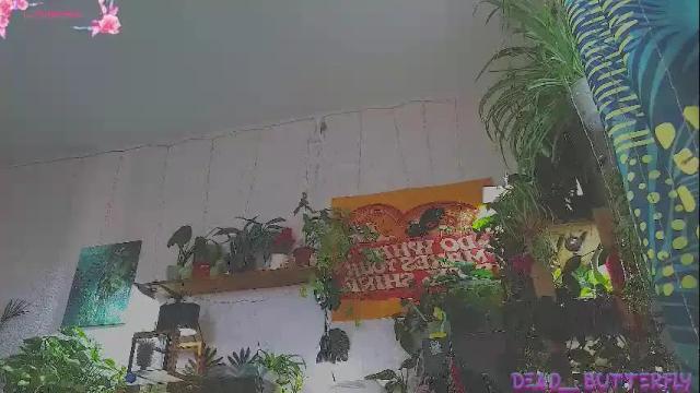 Image 10 of dead___butterfly Stream on Chaturbate on 1 month ago