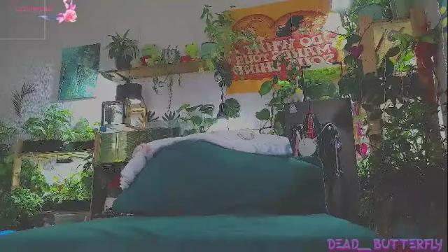 Image 2 of dead___butterfly Stream on Chaturbate on 28 days ago