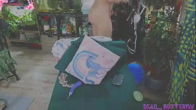 Image 10 of dead___butterfly Stream on Chaturbate on 26 days ago