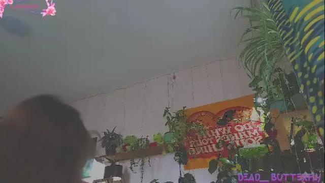 Image 6 of dead___butterfly Stream on Chaturbate on 26 days ago