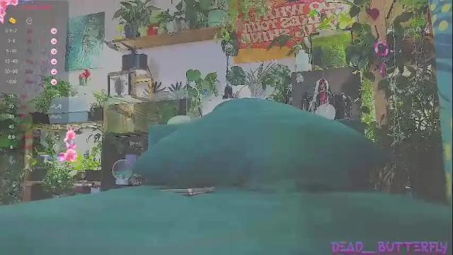 Image 4 of dead___butterfly Stream on Chaturbate on 10 days ago