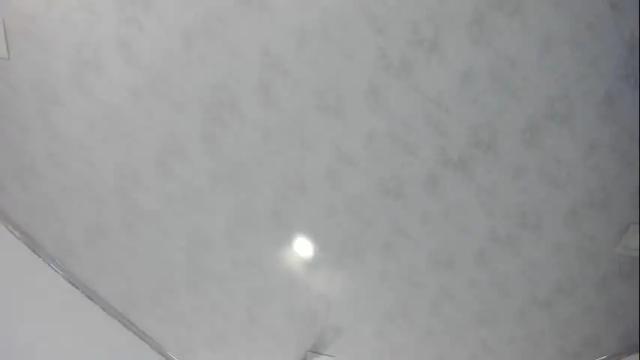 Image 8 of dear_venus Stream on Chaturbate on 21 days ago