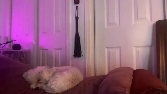 Image 4 of degeneratesaint Stream on Chaturbate on 2 months ago