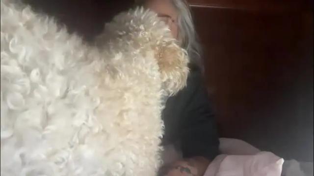 Image 11 of degeneratesaint Stream on Chaturbate on 1 month ago