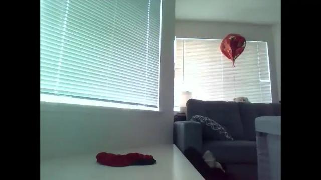 Image 2 of delightfuldark Stream on Chaturbate on 24 days ago