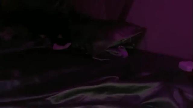 Thumbnail 3, delightfuldark's Stream at Chaturbate, 1 month ago