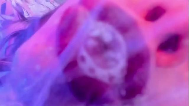 Image 8 of delilah_fix Stream on Chaturbate on 2 months ago