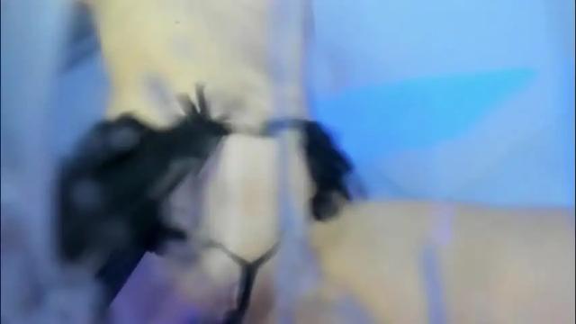 Image 8 of delilah_fix Stream on Chaturbate on 1 month ago
