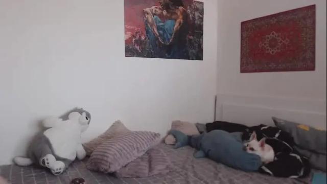 Thumbnail 1, demiamour's Stream at Chaturbate, 4 months ago