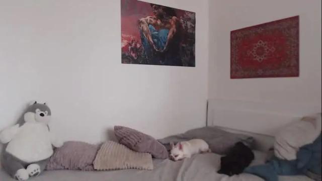 Image 12 of demiamour Stream on Chaturbate on 3 months ago