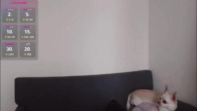 Image 3 of demiamour Stream on Chaturbate on 3 months ago