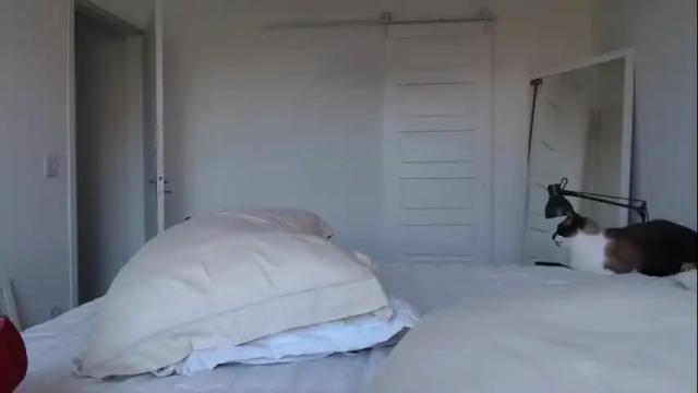 Image 10 of demmetria Stream on Chaturbate on 21 days ago