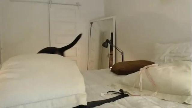 Image 11 of demmetria Stream on Chaturbate on 1 month ago