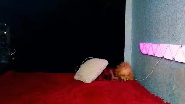 Image 10 of demmi_foxy Stream on Chaturbate on 11 days ago