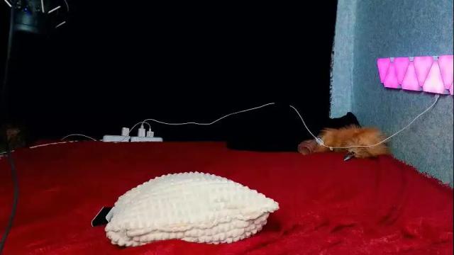Image 11 of demmi_foxy Stream on Chaturbate on 5 days ago