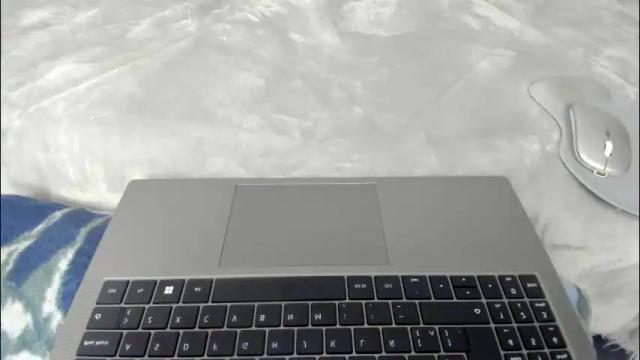 Image 7 of dephne_ Stream on Chaturbate on 1 month ago