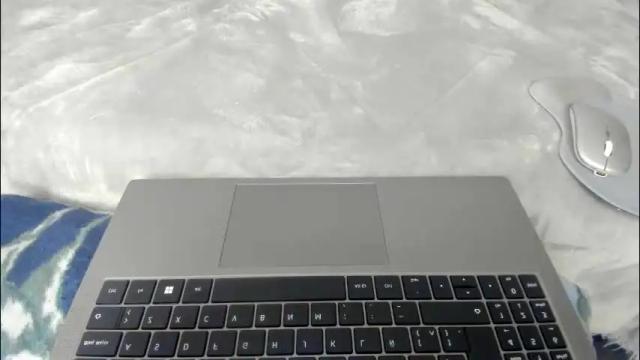 Image 8 of dephne_ Stream on Chaturbate on 1 month ago