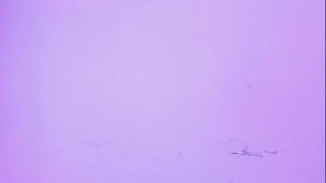 Image 10 of desidias Stream on Chaturbate on 2 months ago