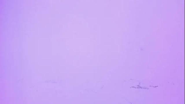 Image 12 of desidias Stream on Chaturbate on 2 months ago