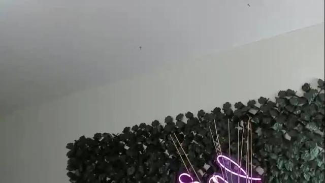 Image 2 of destinyhills_ Stream on Chaturbate on 1 month ago