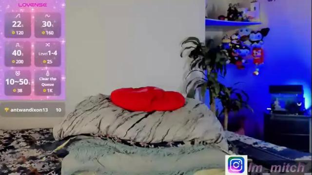 Image 4 of destinymitch Stream on Chaturbate on 20 days ago
