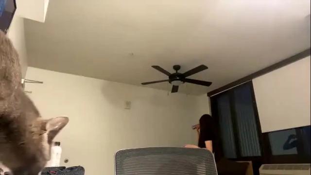 Thumbnail 1, detroitbaddie's Stream at Chaturbate, 14 months ago