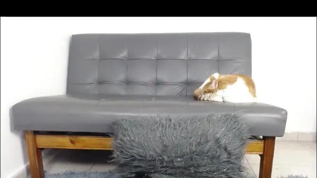 Image 2 of deysha_garncia Stream on Chaturbate on 1 month ago