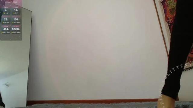 Image 3 of diamondkitten2023 Stream on Chaturbate on 18 months ago