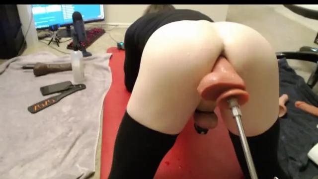 Image 8 of dodgy1111 Stream on Chaturbate on 15 months ago