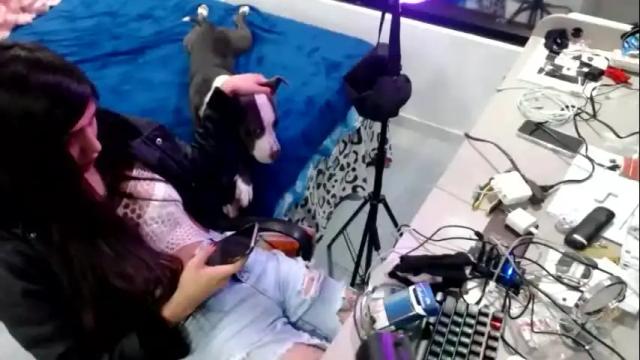 Thumbnail 1, doll_sary's Stream at Chaturbate, 2 months ago