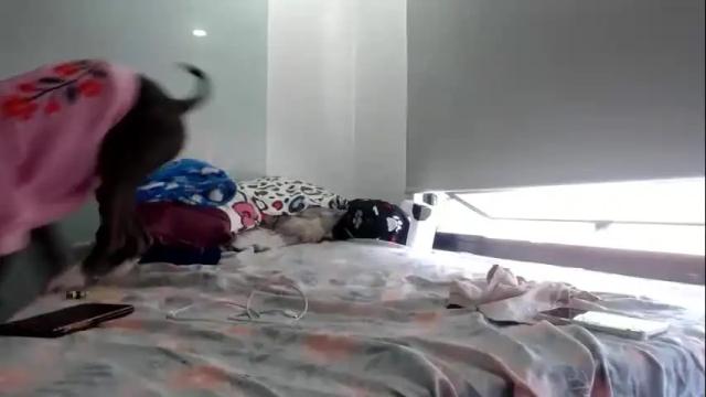 Image 6 of doll_sary Stream on Chaturbate on 2 months ago