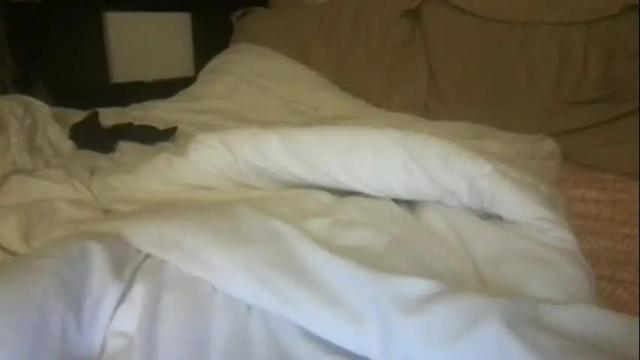 Thumbnail 3, dollfacefuckface's Stream at Chaturbate, 1 month ago