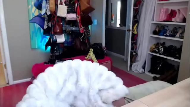 Image 10 of dommetomorrow Stream on Chaturbate on 11 days ago