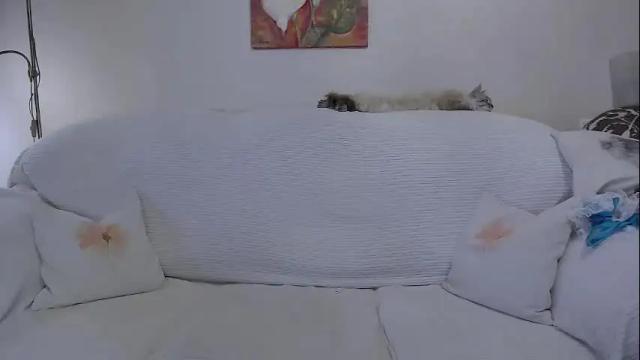 Image 11 of donnadoll4u Stream on Chaturbate on 1 month ago