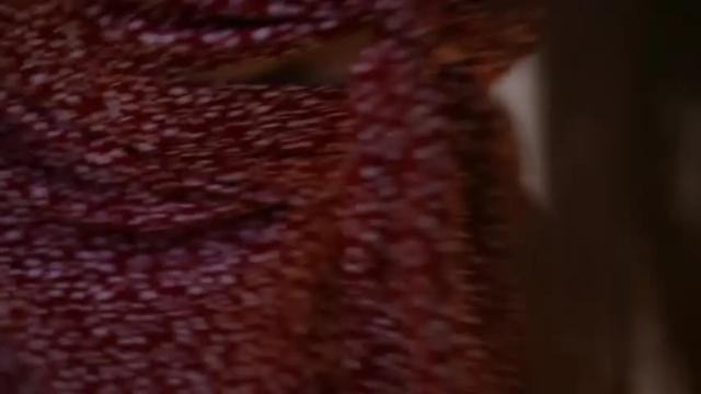 Image 8 of dovia Stream on Chaturbate on 21 days ago