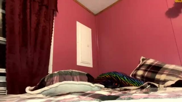 Image 2 of dpirated1 Stream on Chaturbate on 19 months ago