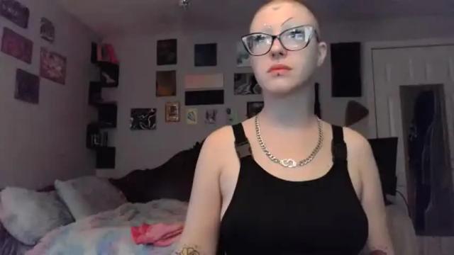 Image 12 of dreagentry Stream on Chaturbate on 16 months ago