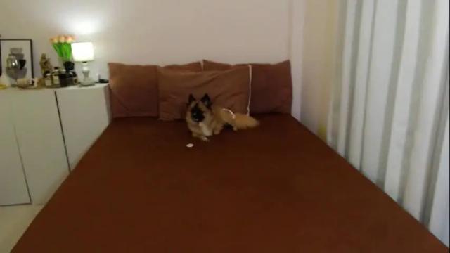 Image 12 of dreamgirlheaven Stream on Chaturbate on 1 day ago