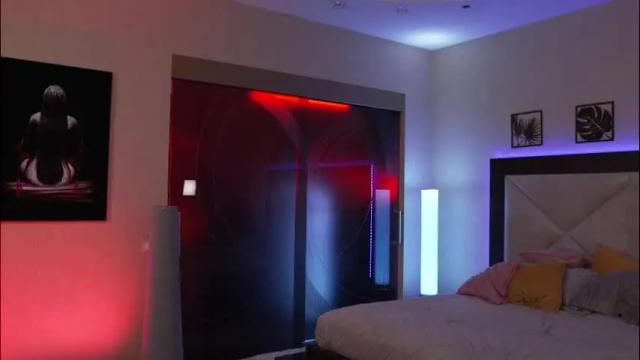 Image 8 of dreamgogo Stream on Chaturbate on 1 month ago