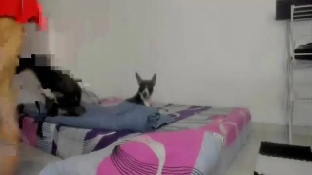 Image 10 of dreams_elian_moore Stream on Chaturbate on 1 month ago