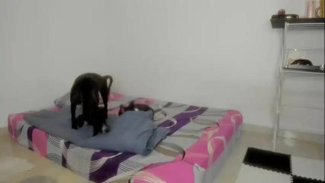 Thumbnail 2, dreams_elian_moore's Stream at Chaturbate, 1 month ago