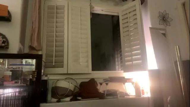 Image 12 of dripping_like_jane Stream on Chaturbate on 4 months ago