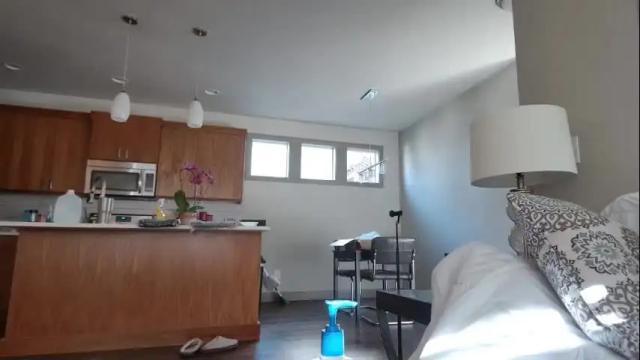 Image 6 of drippingwetgoddess Stream on Chaturbate on 14 months ago