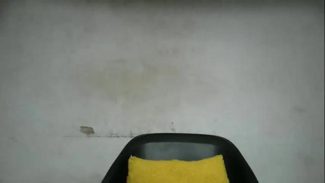 Thumbnail 1, drippussy30's Stream at Chaturbate, 20 hours ago