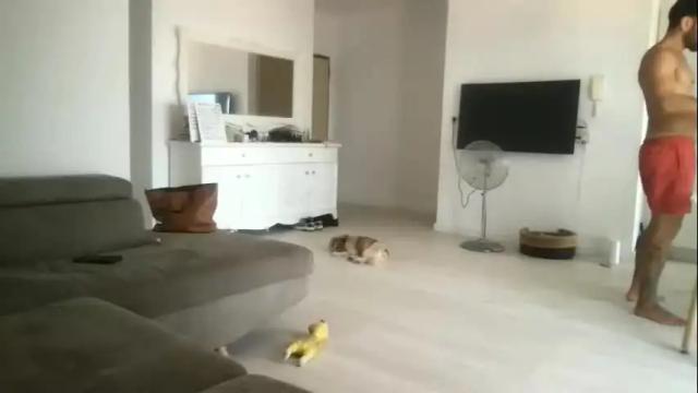 Thumbnail 3, drresa's Stream at Chaturbate, 9 days ago