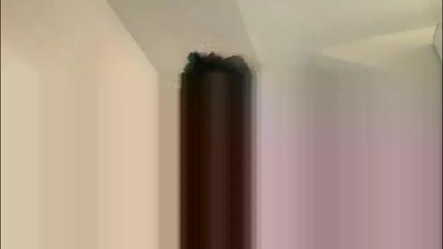 Image 3 of drresa Stream on Chaturbate on 2 months ago