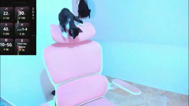 Image 10 of dulce_acosta Stream on Chaturbate on 3 days ago