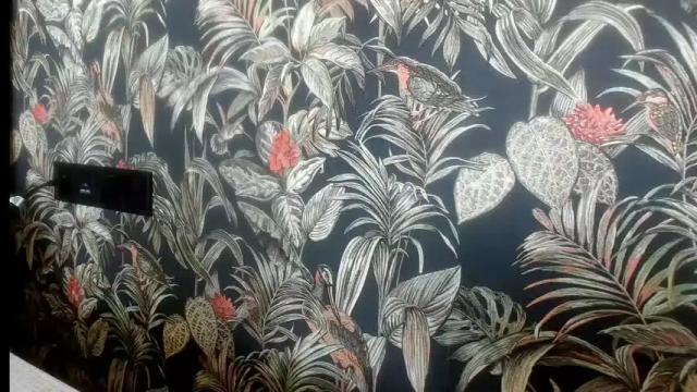 Image 4 of dyafirst Stream on Chaturbate on 2 months ago